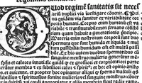 An illustration from Regimen sanitatis (1506)