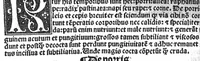 An illustration from Regimen sanitatis (1506)