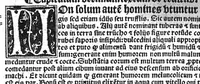 An illustration from Regimen sanitatis (1506)