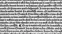 An illustration from Guaiacum. L’experience et approbation Ulrich de Huten notable chevalier. Touchant la medecine du boys dict Guaiacum. Pour circonvenir et dechasser la maladie indeuement appelle francoyse Aincois par gens de meilleur jugement est dicte et appelle la maladie de Neaples, traduicte et interpretee par maistre Jehan Cheradame, Hypocrates estudiant en la faculte et art de medecine, (1520)