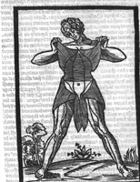 An illustration from Cy est Lanathomie de maistre Mundin boullonnoys, naguere traduicte de langue latine en vulgaire ou francoyse. Ou sont plusieurs figures et apostilles : moult requise et necessaire pour la congnoissance et notice dicelle/ Reveue et recongneue en plusieurs lieus par ledit translateur. Nouvellement imprimée (1532)