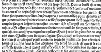 An illustration from Cy est Lanathomie de maistre Mundin boullonnoys, naguere traduicte de langue latine en vulgaire ou francoyse. Ou sont plusieurs figures et apostilles : moult requise et necessaire pour la congnoissance et notice dicelle/ Reveue et recongneue en plusieurs lieus par ledit translateur. Nouvellement imprimée (1532)