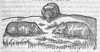 An illustration from Deux livres des venins, ausquels il est amplement discouru des bestes venimeuses, theriaques, poisons et contrepoisons, par Jaques Grevin de Clermont en Beauvaisis, Medecin à Paris. Ensemble, les œuvres de Nicandre, Medecin et Poëte Grec, traduictes en vers François (1568)