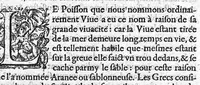 An illustration from Deux livres des venins, ausquels il est amplement discouru des bestes venimeuses, theriaques, poisons et contrepoisons, par Jaques Grevin de Clermont en Beauvaisis, Medecin à Paris. Ensemble, les œuvres de Nicandre, Medecin et Poëte Grec, traduictes en vers François (1568)