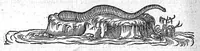 An illustration from Deux livres des venins, ausquels il est amplement discouru des bestes venimeuses, theriaques, poisons et contrepoisons, par Jaques Grevin de Clermont en Beauvaisis, Medecin à Paris. Ensemble, les œuvres de Nicandre, Medecin et Poëte Grec, traduictes en vers François (1568)