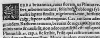An illustration from In hoc opere contenta : Ant. Musae de Herba vetonica liber I, L. Apulei de Medicaminibus herbarum liber I, per Gabrielem Humelbergium,... recogniti et emendati... adjuncto commentariolo ejusdem (1537)