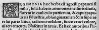 Picture 13 of 21 from In hoc opere contenta : Ant. Musae de Herba vetonica liber I, L. Apulei de Medicaminibus herbarum liber I, per Gabrielem Humelbergium,... recogniti et emendati... adjuncto commentariolo ejusdem (1537), leaf 135