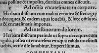 An illustration from In hoc opere contenta : Ant. Musae de Herba vetonica liber I, L. Apulei de Medicaminibus herbarum liber I, per Gabrielem Humelbergium,... recogniti et emendati... adjuncto commentariolo ejusdem (1537)
