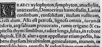 An illustration from In hoc opere contenta : Ant. Musae de Herba vetonica liber I, L. Apulei de Medicaminibus herbarum liber I, per Gabrielem Humelbergium,... recogniti et emendati... adjuncto commentariolo ejusdem (1537)