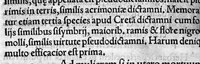 An illustration from In hoc opere contenta : Ant. Musae de Herba vetonica liber I, L. Apulei de Medicaminibus herbarum liber I, per Gabrielem Humelbergium,... recogniti et emendati... adjuncto commentariolo ejusdem (1537)