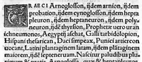 An illustration from In hoc opere contenta : Ant. Musae de Herba vetonica liber I, L. Apulei de Medicaminibus herbarum liber I, per Gabrielem Humelbergium,... recogniti et emendati... adjuncto commentariolo ejusdem (1537)