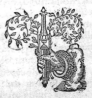 An illustration from Methodus dignoscendorum morborum, primum quidem tradita ab Argenterio, deinceps autem exemplis multis ex veteribus medicis et recentioribus desumptis adaucta authore Francisco Le Thielleux (1581)