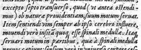An illustration from De somno et vigilia (1556)