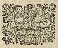 An illustration from Methode d'élever les enfans selon les regles de la medecine. Regime de vivre des vieillards et un traitte de la goutte (1675)