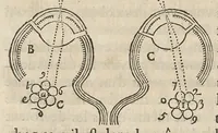 An illustration from Essay de dioptrique (1694)