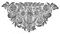 An illustration from De urinis et pulsibus, de missione sanguinis, de febribus, de morbis capitis et pectoris (1685)