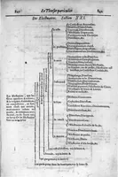 An illustration from Le grand thresor, ou dispensaire et antidotaire tant general que special ou particulier des remedes servans à la santé du corps humain : dressé en latin... (1616)