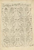 Picture 7 of 30 from La science curieuse ou traité de la chyromance, récueilly des plus graves autheurs qui ont traité de cette matière... (1665), leaf 102