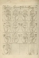 Picture 19 of 30 from La science curieuse ou traité de la chyromance, récueilly des plus graves autheurs qui ont traité de cette matière... (1665), leaf 219