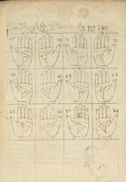 Picture 21 of 30 from La science curieuse ou traité de la chyromance, récueilly des plus graves autheurs qui ont traité de cette matière... (1665), leaf 236