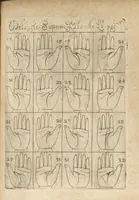 Picture 23 of 30 from La science curieuse ou traité de la chyromance, récueilly des plus graves autheurs qui ont traité de cette matière... (1665), leaf 242