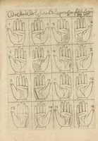 Picture 28 of 30 from La science curieuse ou traité de la chyromance, récueilly des plus graves autheurs qui ont traité de cette matière... (1665), leaf 334