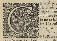 An illustration from Deuxième defense de la Faculté de médecine de Paris...dans laquelle il est pouvé & ijustifié par raisons,a uthoritez & experiences que l'Emetique composé d'antimoine est un souverain remede pour la guerison de plusieurs maladies... (1668)