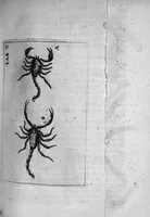 An illustration from Histoire générale des insectes. Où l'on expose clairement la manière lente & presqu'insensible de l'accroissement de leurs membres, & ou l'on découvre évidemment l'erreur où l'on tombe d'ordinaire au sujet de leur prétendue transformation. Par Jean Swammerdam Docteur en médecine. Avec des figures (1682)