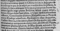 Picture 17 of 27 from De plantis exoticis libri duo (1627), leaf 192