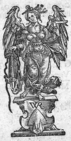 An illustration from De stirpium maximearum, quae in Germania notra nascuntur, usitatis nomenclaturis,...interprete Davide Kybero... (1552)