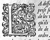 An illustration from Portraicts d'oyseaux, animaux, serpens, herbes, arbres, hommes et femmes d'Arabie & d'Egypte, observez par P. Belon du Mans...est adjoutée une carte du Mont Athos , & du Mont Sinay (1618)