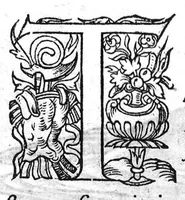Picture 27 of 45 from Portraicts d'oyseaux, animaux, serpens, herbes, arbres, hommes et femmes d'Arabie & d'Egypte, observez par P. Belon du Mans...est adjoutée une carte du Mont Athos , & du Mont Sinay (1618), leaf 185