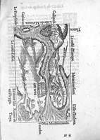 Picture 45 of 45 from Portraicts d'oyseaux, animaux, serpens, herbes, arbres, hommes et femmes d'Arabie & d'Egypte, observez par P. Belon du Mans...est adjoutée une carte du Mont Athos , & du Mont Sinay (1618), leaf 264