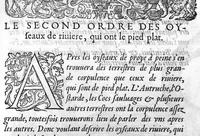An illustration from Portraicts d'oyseaux, animaux, serpens, herbes, arbres, hommes et femmes d'Arabie & d'Egypte, observez par P. Belon du Mans...est adjoutée une carte du Mont Athos , & du Mont Sinay (1618)