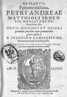 An illustration from De plantis Epitome utilissima, Petri Andreae Matthioli Senensis, medici excellentissimi, etc. Novis iconibus et descriptionibus pluribus nunc primum diligenter aucta, à D. Ioachimo Camerario medico inclytae Reip. Noribergensis. (1586)