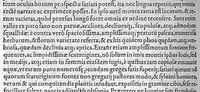 An illustration from Iter Baldi civitatis Veronae pontis, quo mirabili ordine describitur montis ipsus, atque aliarum quarundam ipsum contingentium partium situs (1586)