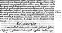 An illustration from Amati Lusitani Medici ac philosophi celeberrimi In Dioscoridis Anazarbei de medica materia libros quique enarrationes eruditissimae, quibus etiam tum simplicium medicamentorum nomenclaturae graecae, latinae, italicae, germanicae, et gallicae proponuntur (...) (1557)