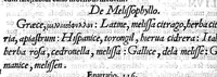 An illustration from Amati Lusitani Medici ac philosophi celeberrimi In Dioscoridis Anazarbei de medica materia libros quique enarrationes eruditissimae, quibus etiam tum simplicium medicamentorum nomenclaturae graecae, latinae, italicae, germanicae, et gallicae proponuntur (...) (1557)