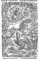 Picture 23 of 24 from Histoire des plantes, en laquelle est contenue la description entiere des herbes, c’est à dire, leurs Especes, Forme, Noms, Temperament, Vertus et Operations : non seulement de celles qui croissent en ce païs, mais aussi des autres estrangeres qui viennent en usage de Medecine. Par Rembert Dodoens Medecin de la Ville de Malines. Nouvellement traduite de bas Aleman en François par Charles de l’Escluse (1567), leaf 572
