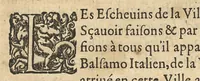 An illustration from Amphithéâtre d'honneur dressé par la France, a la memoire du seigneur Joseph Balsamo...en faveur du secret merveilleux par luy inventé, & de ses rares et singulieres proprietez contre diverses maladies & infirmités du corps humain divisé en quatre livres... (1638)