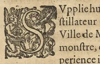An illustration from Amphithéâtre d'honneur dressé par la France, a la memoire du seigneur Joseph Balsamo...en faveur du secret merveilleux par luy inventé, & de ses rares et singulieres proprietez contre diverses maladies & infirmités du corps humain divisé en quatre livres... (1638)