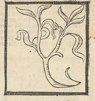 An illustration from Le Grant herbier en françois. (1500)