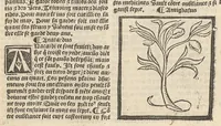 An illustration from Le Grant herbier en françois. (1500)