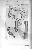 An illustration from Institutions anatomiques de Gaspar Bartholin, augmentées et enrichies pour la seconde fois tant des opinions et observations nouvelles des modernes... que de plusieurs figures... par Thomas Bartholin,... et traduictes en françois par Abr. Du Prat (1647)