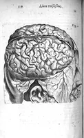 An illustration from Institutions anatomiques de Gaspar Bartholin, augmentées et enrichies pour la seconde fois tant des opinions et observations nouvelles des modernes... que de plusieurs figures... par Thomas Bartholin,... et traduictes en françois par Abr. Du Prat (1647)