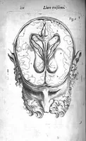 An illustration from Institutions anatomiques de Gaspar Bartholin, augmentées et enrichies pour la seconde fois tant des opinions et observations nouvelles des modernes... que de plusieurs figures... par Thomas Bartholin,... et traduictes en françois par Abr. Du Prat (1647)