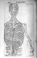 An illustration from Institutions anatomiques de Gaspar Bartholin, augmentées et enrichies pour la seconde fois tant des opinions et observations nouvelles des modernes... que de plusieurs figures... par Thomas Bartholin,... et traduictes en françois par Abr. Du Prat (1647)