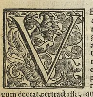An illustration from De rara medicatione vulnerum,...libri duo... (1676)