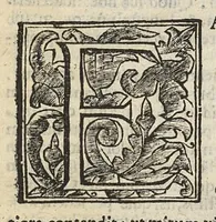 An illustration from De rara medicatione vulnerum,...libri duo... (1676)