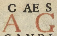 An illustration from De rara medicatione vulnerum,...libri duo... (1676)